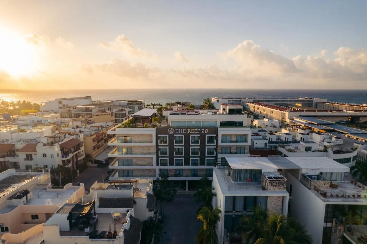 The Reef 28 Hotel & Spa (Adults Only) 신데 델 카르멘